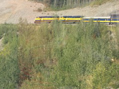 Train from Fairbanks to Denali